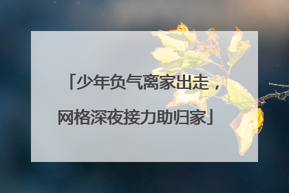 少年负气离家出走，网格深夜接力助归家