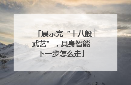展示完“十八般武艺”，具身智能下一步怎么走