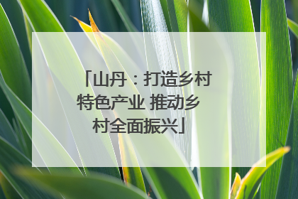 山丹：打造乡村特色产业 推动乡村全面振兴