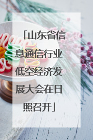山东省信息通信行业低空经济发展大会在日照召开
