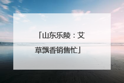 山东乐陵：艾草飘香销售忙
