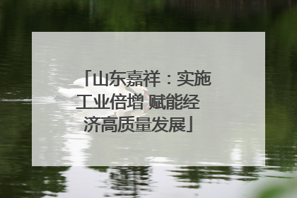 山东嘉祥：实施工业倍增 赋能经济高质量发展