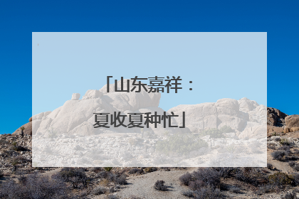山东嘉祥：夏收夏种忙