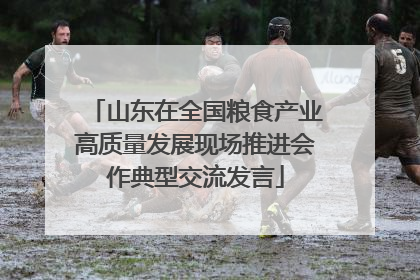 山东在全国粮食产业高质量发展现场推进会作典型交流发言