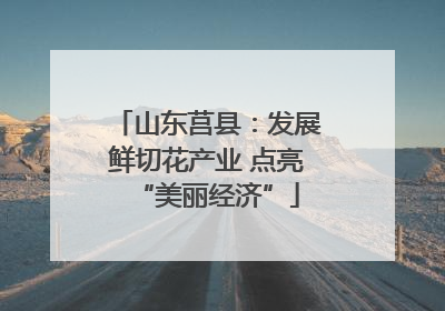 山东莒县：发展鲜切花产业 点亮“美丽经济”