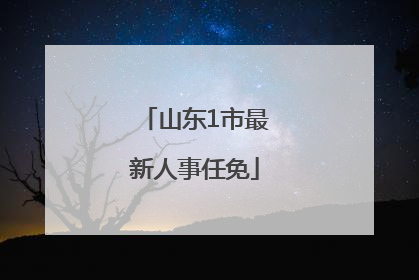 山东1市最新人事任免