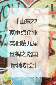 山东22家重点企业亮相第九届丝绸之路国际博览会