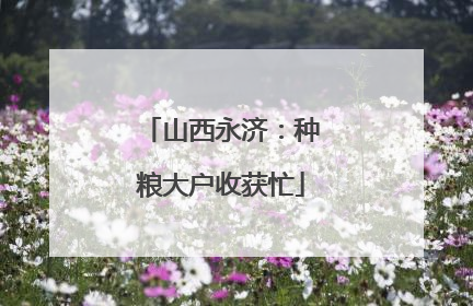 山西永济：种粮大户收获忙