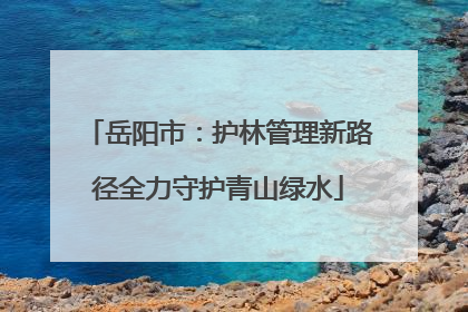 岳阳市：护林管理新路径全力守护青山绿水