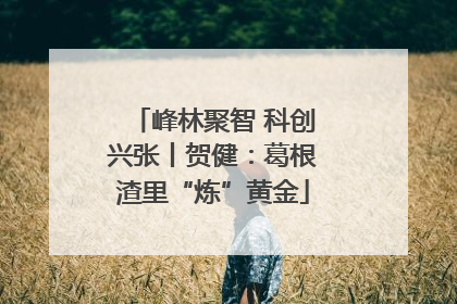 峰林聚智 科创兴张丨贺健：葛根渣里“炼”黄金