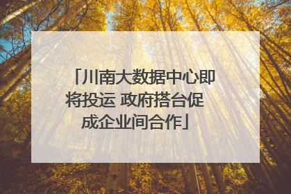 川南大数据中心即将投运 政府搭台促成企业间合作