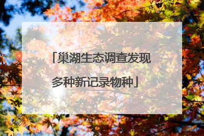 巢湖生态调查发现多种新记录物种