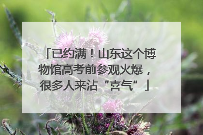 已约满！山东这个博物馆高考前参观火爆，很多人来沾“喜气”