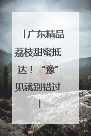 广东精品荔枝甜蜜抵达！“豫”见就别错过