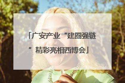 广安产业“建圈强链”精彩亮相西博会