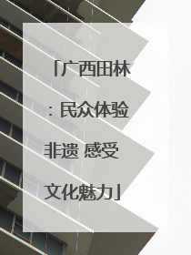 广西田林：民众体验非遗 感受文化魅力