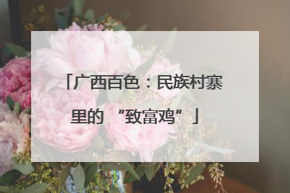 广西百色：民族村寨里的 “致富鸡”