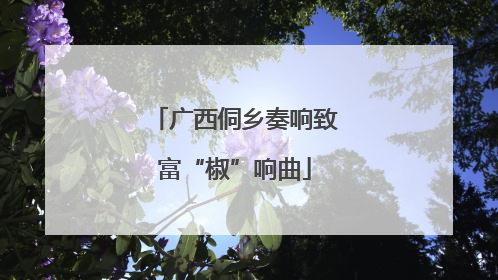 广西侗乡奏响致富“椒”响曲