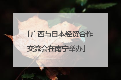 广西与日本经贸合作交流会在南宁举办