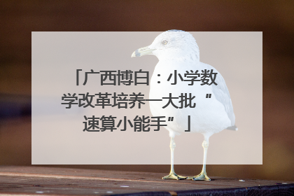 广西博白：小学数学改革培养一大批“速算小能手”