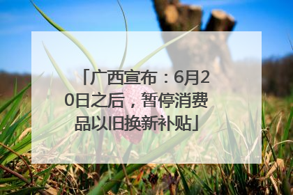 广西宣布：6月20日之后，暂停消费品以旧换新补贴