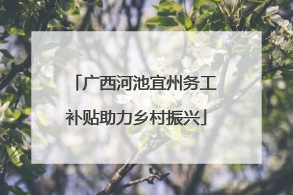 广西河池宜州务工补贴助力乡村振兴