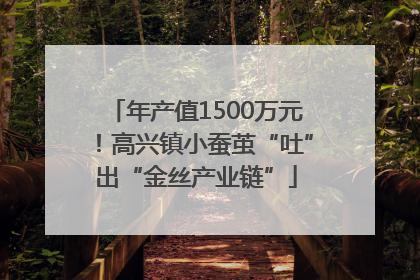 年产值1500万元！高兴镇小蚕茧“吐”出“金丝产业链”