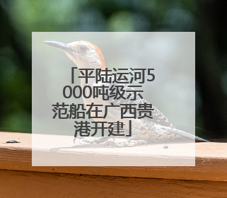平陆运河5000吨级示范船在广西贵港开建