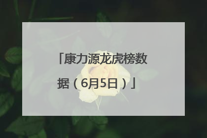 康力源龙虎榜数据（6月5日）