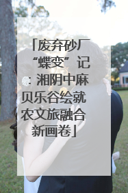 废弃砂厂“蝶变”记：湘阴中麻贝乐谷绘就农文旅融合新画卷