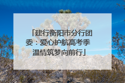 建行衡阳市分行团委：爱心护航高考季 温情筑梦向前行