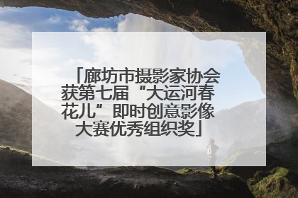 廊坊市摄影家协会获第七届“大运河春花儿”即时创意影像大赛优秀组织奖
