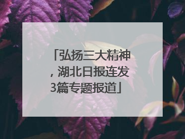 弘扬三大精神，湖北日报连发3篇专题报道