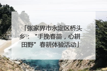 张家界市永定区桥头乡：“手挽春苗，心耕田野”春耕体验活动