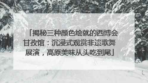 揭秘三种颜色绘就的西博会甘孜馆：沉浸式观赏非遗歌舞展演，高原美味从头吃到尾