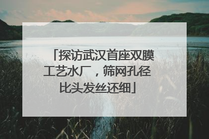 探访武汉首座双膜工艺水厂，筛网孔径比头发丝还细