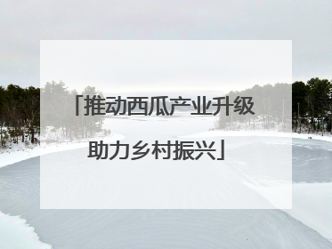 推动西瓜产业升级 助力乡村振兴