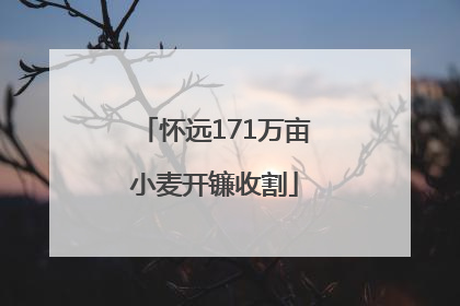 怀远171万亩小麦开镰收割