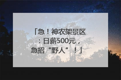 急！神农架景区：日薪500元，急招“野人”！