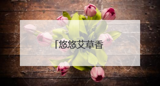 悠悠艾草香 片片粽叶长