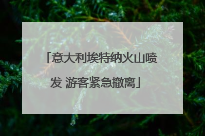 意大利埃特纳火山喷发 游客紧急撤离