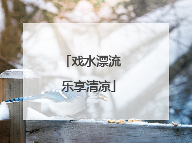 戏水漂流 乐享清凉
