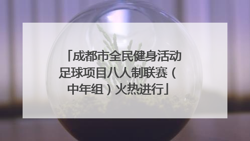 成都市全民健身活动足球项目八人制联赛（中年组）火热进行
