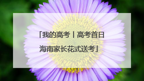 我的高考丨高考首日 海南家长花式送考