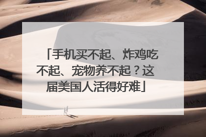 手机买不起、炸鸡吃不起、宠物养不起？这届美国人活得好难