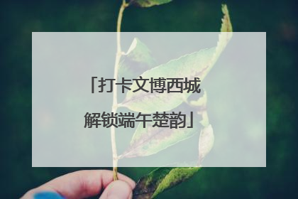 打卡文博西城 解锁端午楚韵