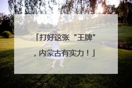 打好这张“王牌”，内蒙古有实力！