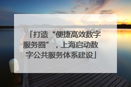 打造“便捷高效数字服务圈”，上海启动数字公共服务体系建设
