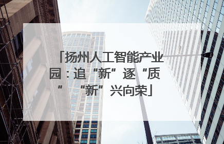 扬州人工智能产业园：追“新”逐“质” “新”兴向荣