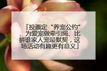 投票定“养宠公约”、为爱宠做牵引绳、比拼谁家人宠最默契，这场活动有趣更有意义